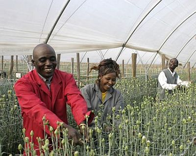 Production_Carnations_People_6