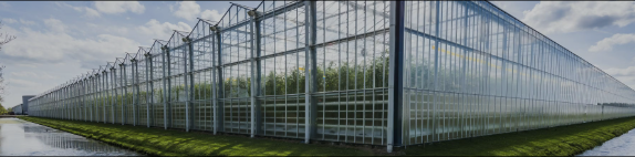 Vacature - Acceptant Glastuinbouw