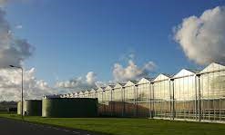 Vacature - Risicodeskundige Glastuinbouw Internationaal (m/v)