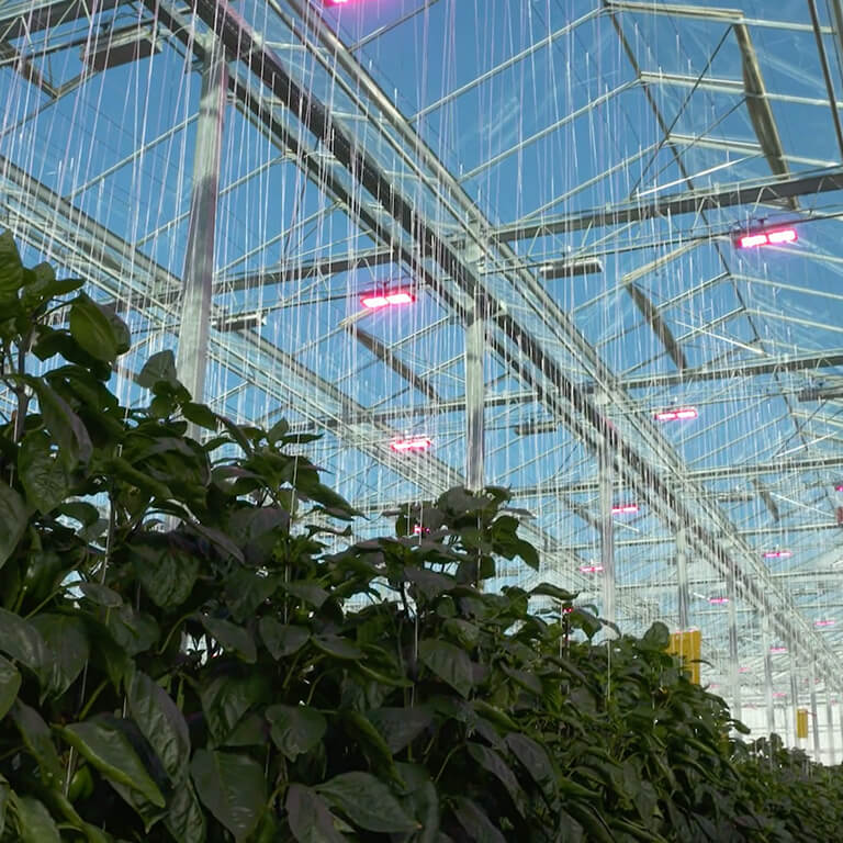 Vacature - Agronomist