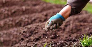 Vacature - International Salesmanager