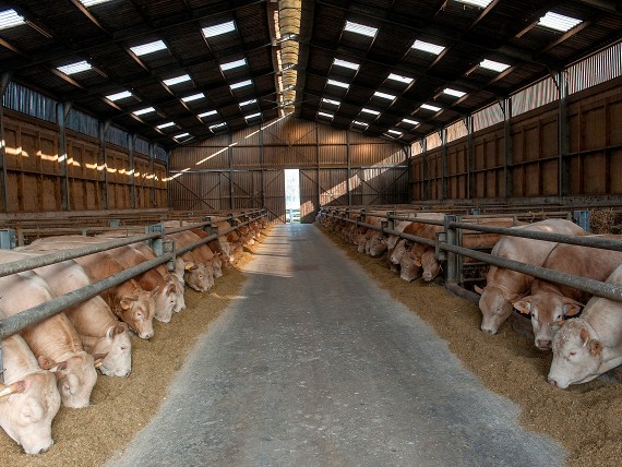 Vacature - Farm Manager