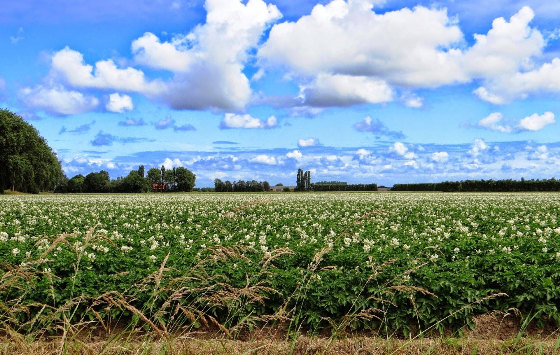 Vacature - Pootgoedspecialist