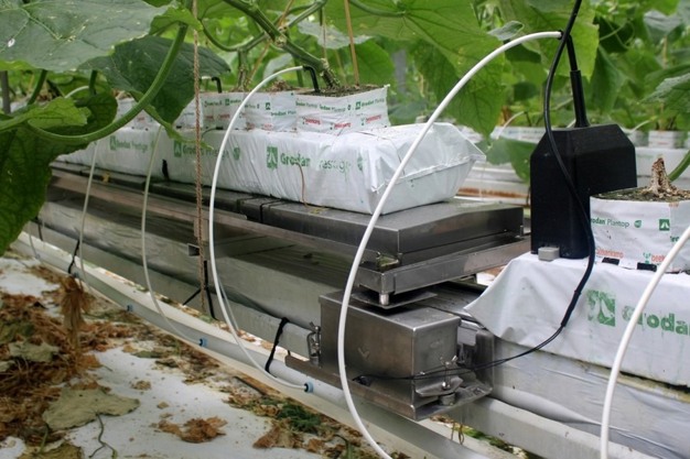 Vacature - Accountmanager Glastuinbouw DACH-landen