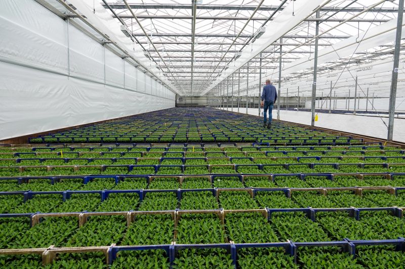 Vacature - Manager Plantgezondheid & Weerbare Teelt