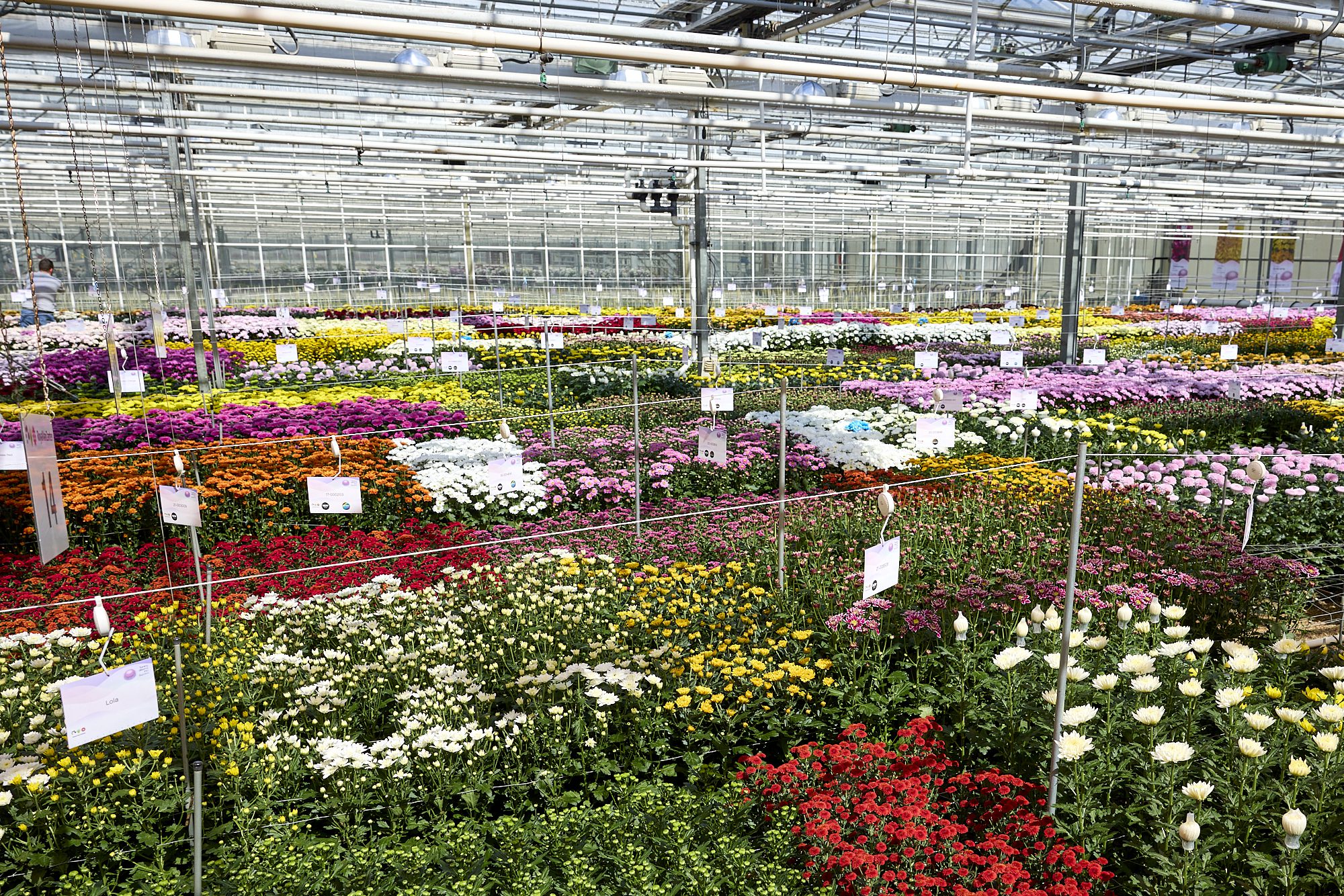 Vacature - Teeltspecialist