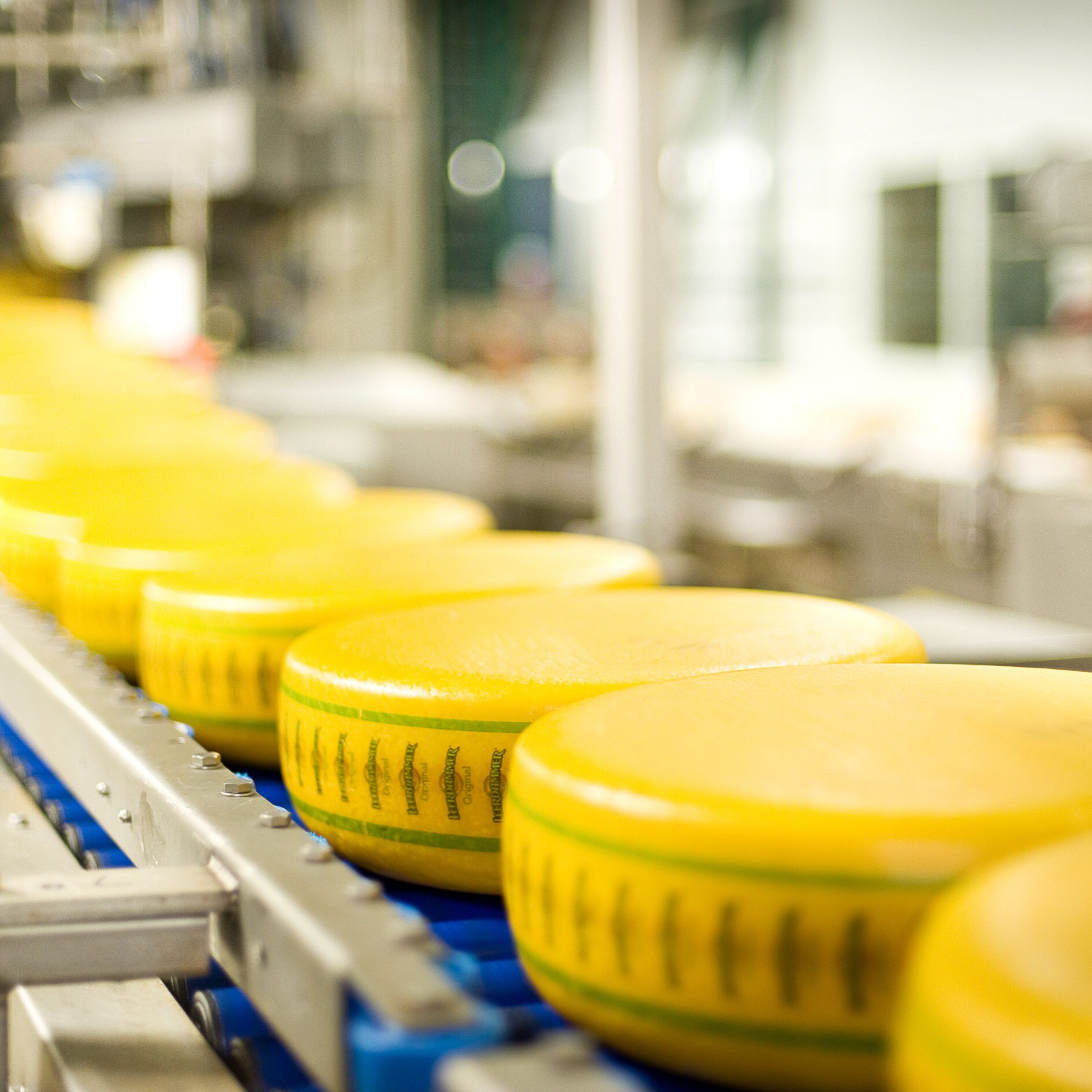 Vacature - Regioadviseur Melkvoorziening