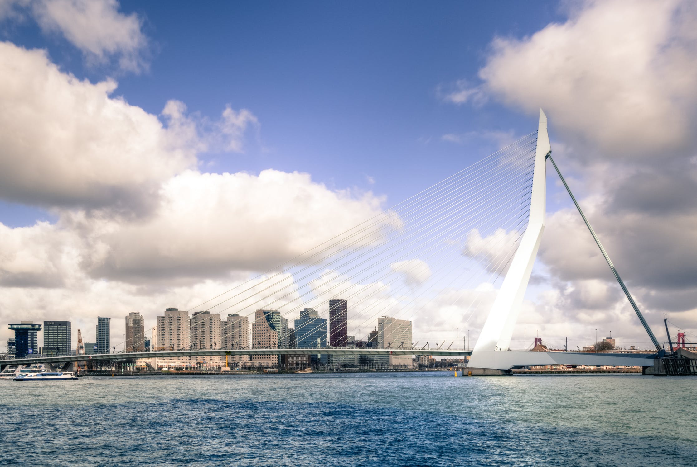 Vacature - Technical Sales Manager Feed & Petfood