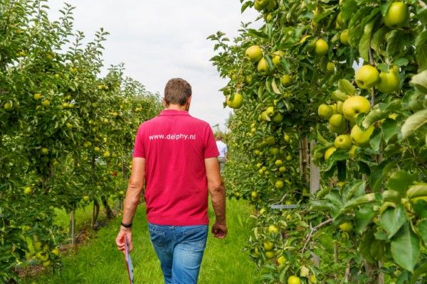 Vacature - Senior Adviseur Fruitteelt