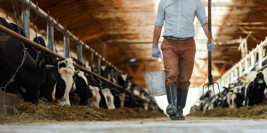 Vacature - Sales Manager (Vlaanderen)