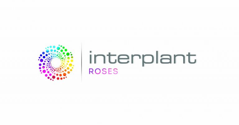 Interplant Roses