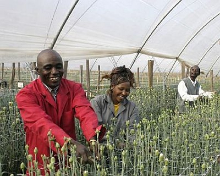 Production_Carnations_People_6