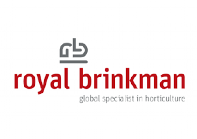 Royal Brinkman